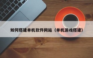 安陆如何搭建单机软件网站（单机游戏搭建）